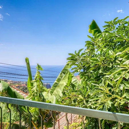 Sunrise House, A In Madeira Apartamento